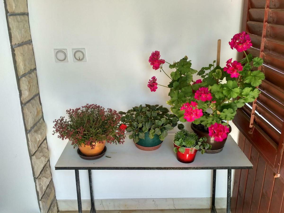 Apartmani Tonica Sukošan Εξωτερικό φωτογραφία